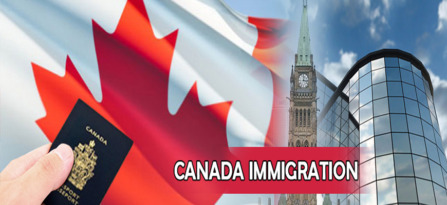 Outsource the services of best immigration consultants in India