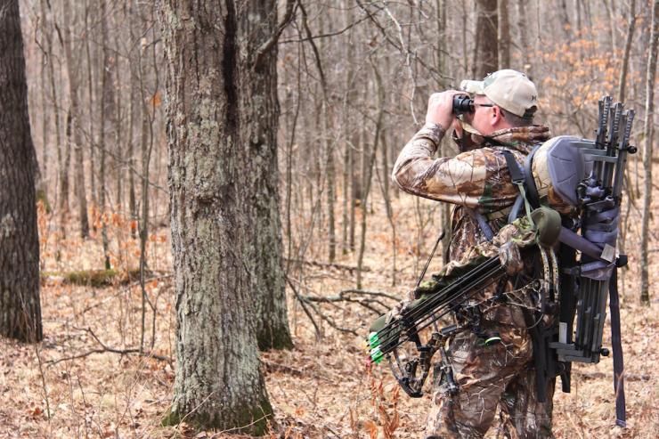 Deer hunting tips for beginners